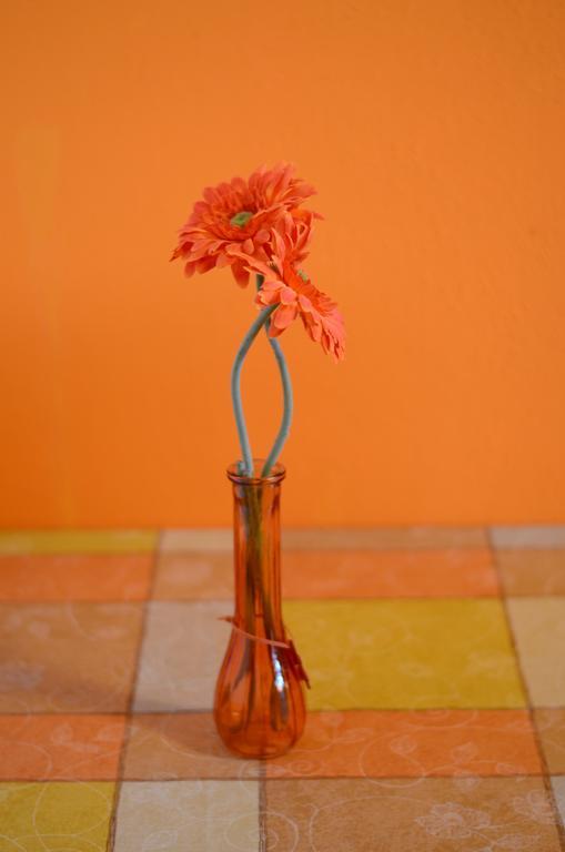 Appartamento Apartman Milena Primošten Esterno foto